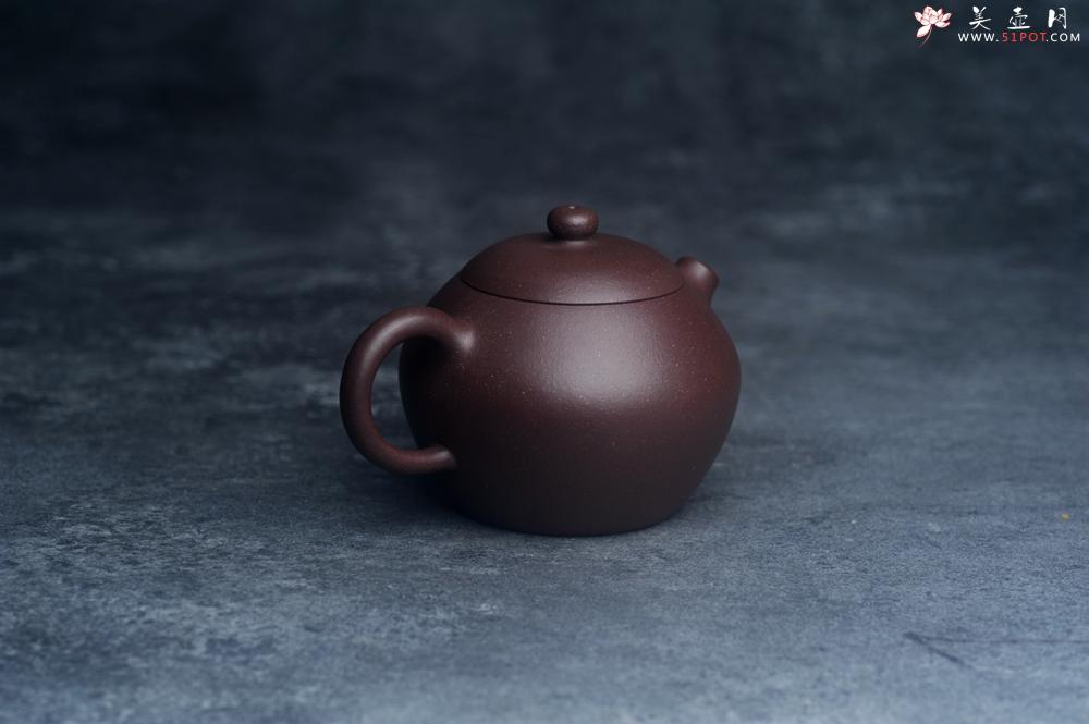 紫砂壶图片：美壶特惠 优质紫泥河豚西施壶 球孔出水 - 全手工紫砂壶网