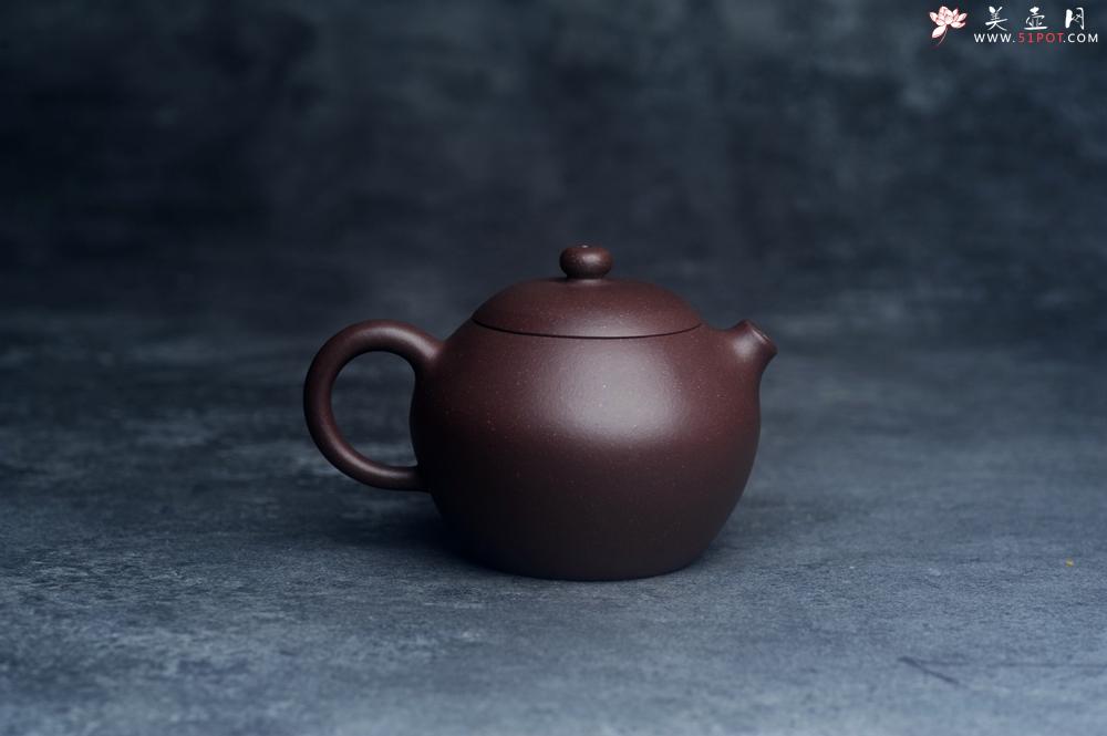 紫砂壶图片：美壶特惠 优质紫泥河豚西施壶 球孔出水 - 全手工紫砂壶网