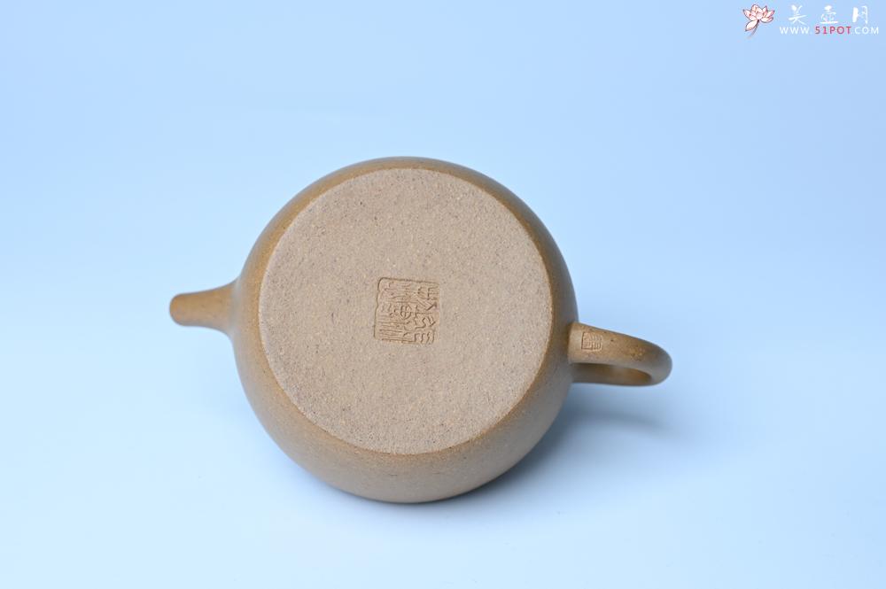 紫砂壶图片：美壶特惠全手工紫砂壶特好段泥桑扁壶 茶壶 茶具 单壶 - 全手工紫砂壶网