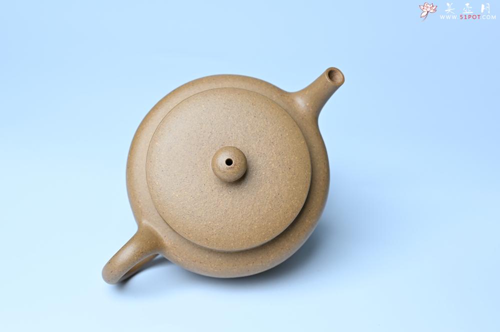 紫砂壶图片：美壶特惠全手工紫砂壶特好段泥桑扁壶 茶壶 茶具 单壶 - 全手工紫砂壶网