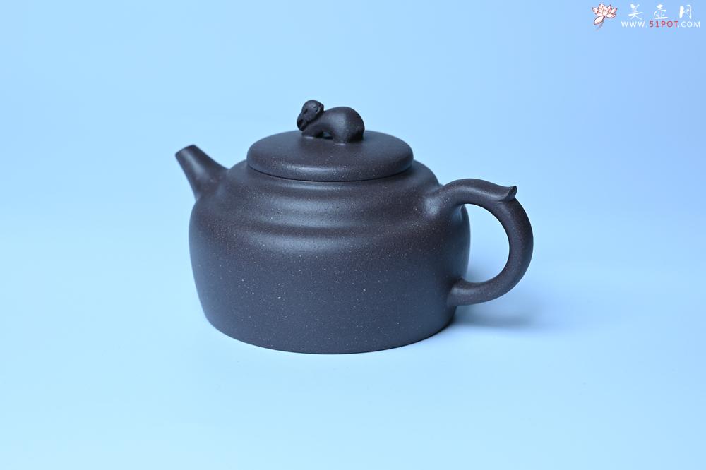 紫砂壶图片：美壶特惠 精品青灰泥玉兔紫砂壶 茶人醉爱 - 全手工紫砂壶网