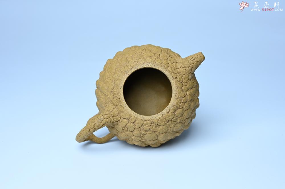 紫砂壶图片：美壶特惠 全手工黄段供春 肌理有老树瘿的感觉 灰常赞 - 全手工紫砂壶网