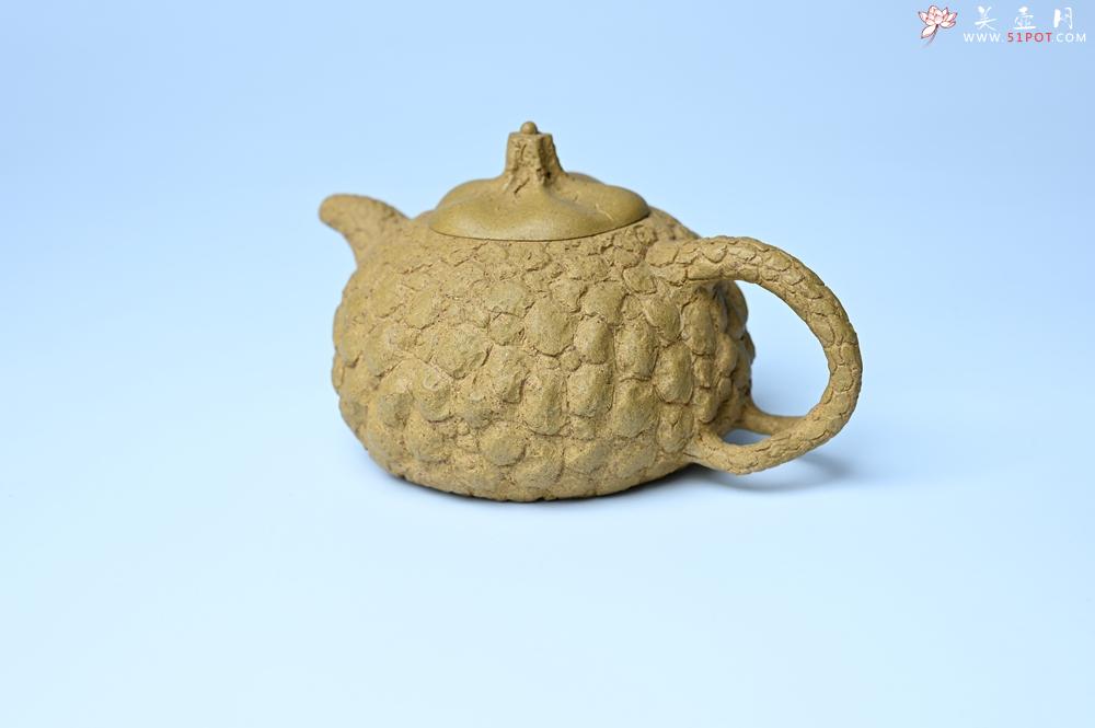 紫砂壶图片：美壶特惠 全手工黄段供春 肌理有老树瘿的感觉 灰常赞 - 全手工紫砂壶网