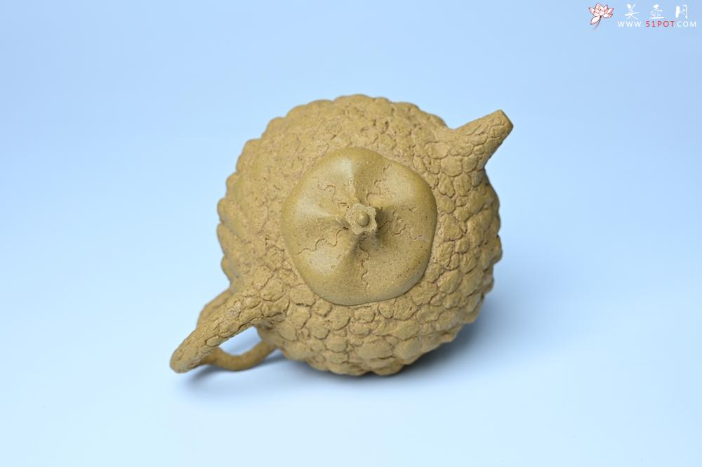 紫砂壶图片：美壶特惠 全手工黄段供春 肌理有老树瘿的感觉 灰常赞 - 全手工紫砂壶网