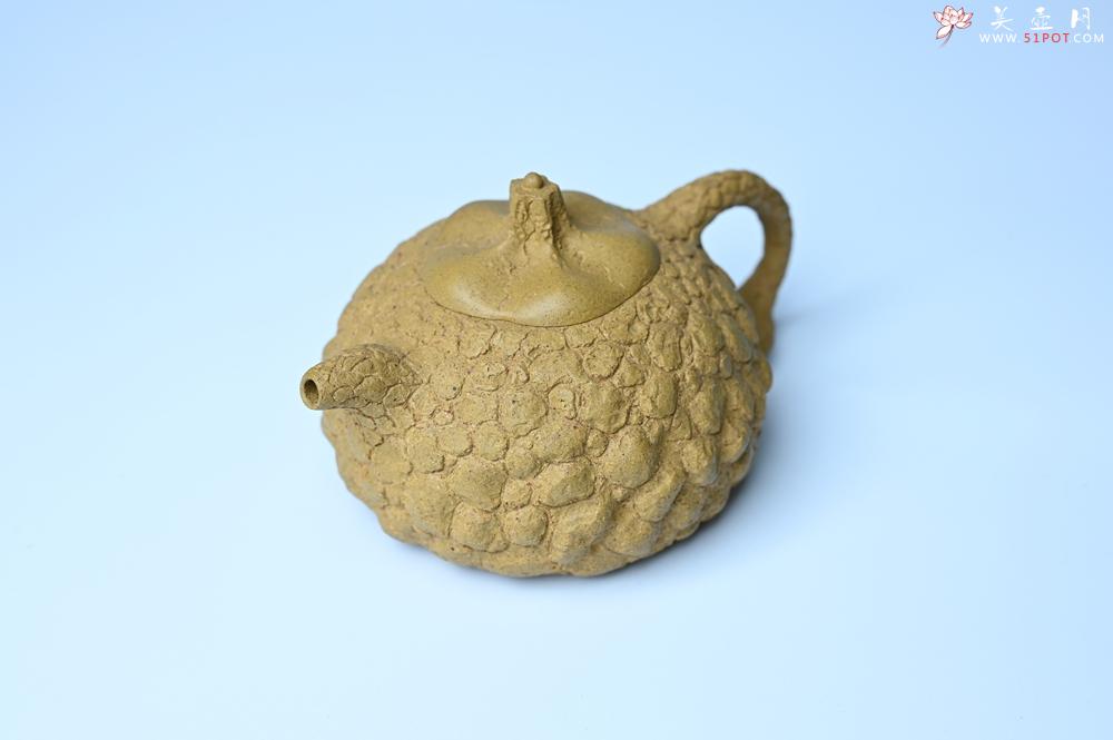 紫砂壶图片：美壶特惠 全手工黄段供春 肌理有老树瘿的感觉 灰常赞 - 全手工紫砂壶网