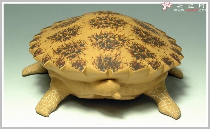 紫砂壶图片：黄金海龟 精细如生 - 美壶网