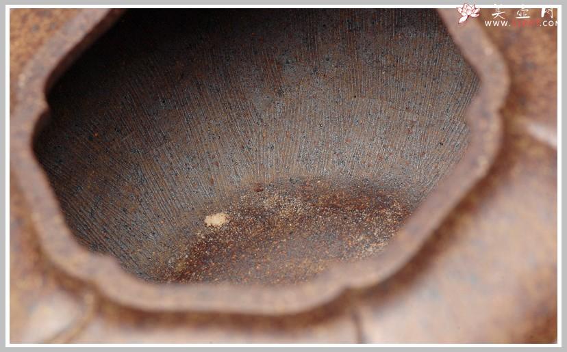 紫砂壶图片：窑变之美 风卷葵 - 美壶网