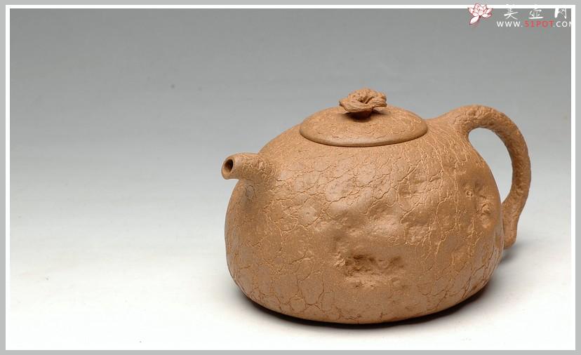 紫砂壶图片：夏立 全手小供春 - 美壶网