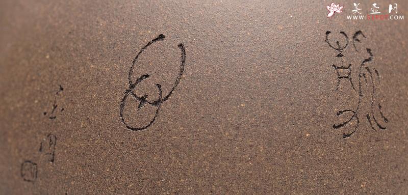 紫砂壶图片：经典中的经典 墨陶刻绘精品莲蓬鸟 万工经典之作 全手莲蓬龙蛋 新年龙运亨通 - 美壶网