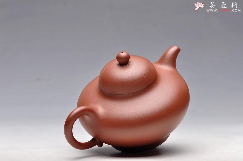 紫砂壶图片：秀气可人 体态丰润 尹君峰壬辰年新品 全手华颖 - 美壶网