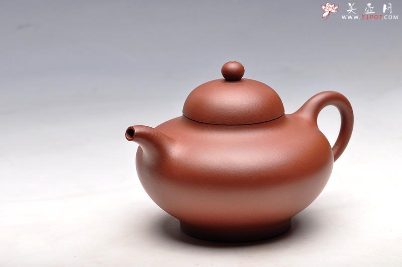 紫砂壶图片：秀气可人 体态丰润 尹君峰壬辰年新品 全手华颖 - 美壶网
