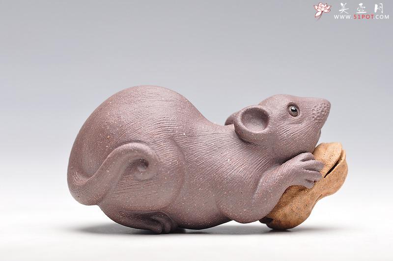紫砂壶图片：掌中宝，花生鼠 特别好养 - 美壶网