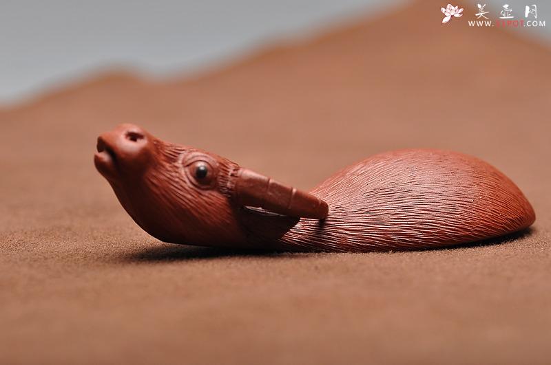 紫砂壶图片：双鱼挂坠 精品茶宠 小水牛 核桃 - 美壶网