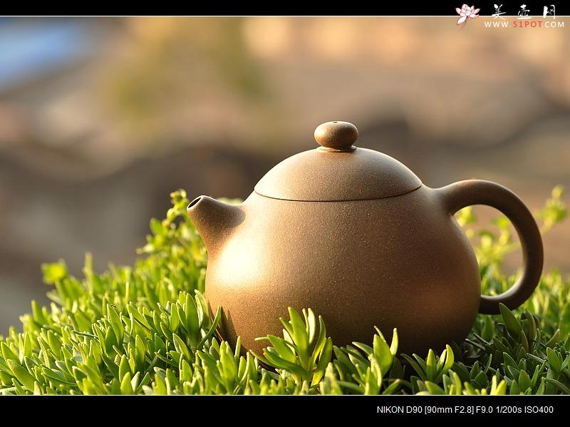 紫砂壶图片：古朴神韵 清雅圆融 全手老味文旦 尹君峰新作 - 美壶网