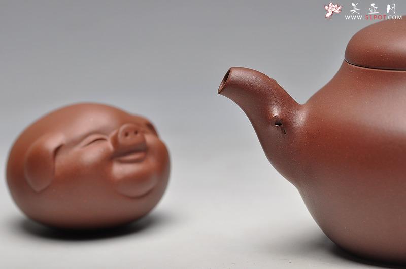 紫砂壶图片：扁福猪集锦~~ 漂亮可爱 憨 - 美壶网