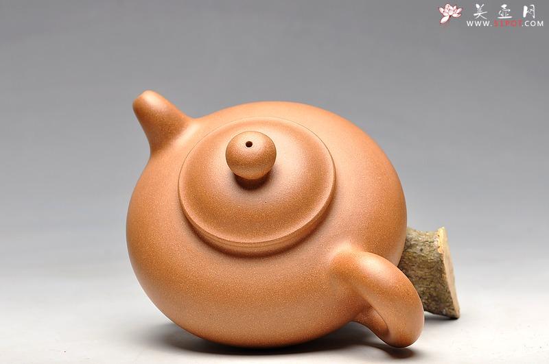 紫砂壶图片:道洪风格 敦实可爱 全手翔韵 实力之作 - 美壶网