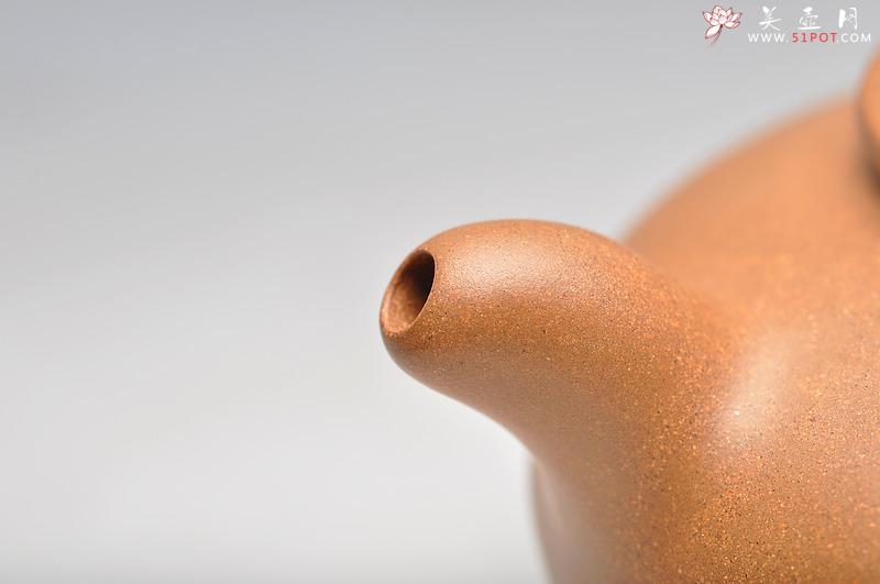 紫砂壶图片:道洪风格 敦实可爱 全手翔韵 实力之作 - 美壶网