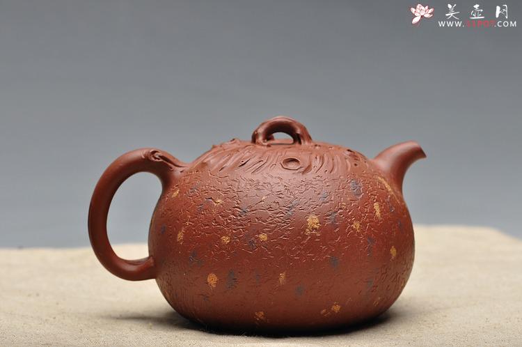 紫砂壶图片：蔡岩峰壬辰年最新原创力作 全手桩语  - 美壶网