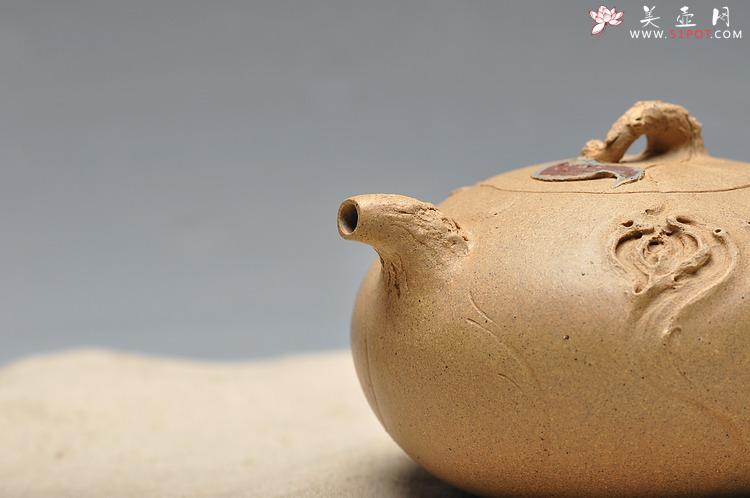 紫砂壶图片：殷俊强壬辰力作 全手 秋   技艺精湛 作品说话 - 美壶网