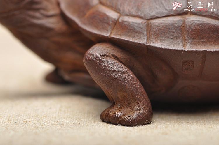 紫砂壶图片：全手工仿生雕塑 孙金立 寿龟  - 美壶网