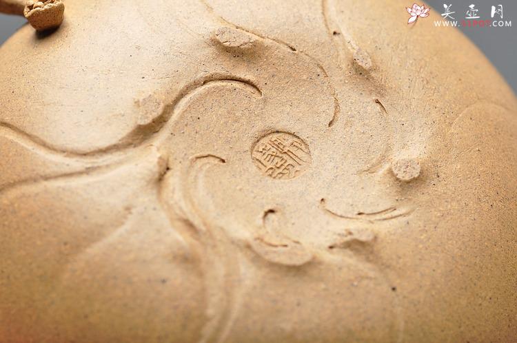 紫砂壶图片：殷俊强壬辰力作 全手 秋   技艺精湛 作品说话 - 美壶网