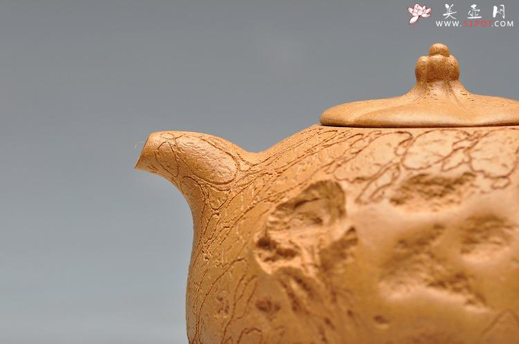 紫砂壶图片：老段泥 古朴灵气 融然  全手工灵芝龚春 瓜纽龚春 - 美壶网