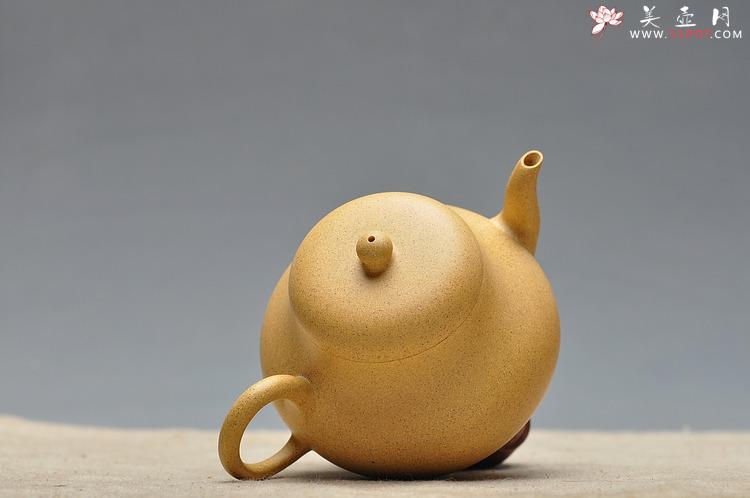 紫砂壶图片：尹君峰新品 本山段全手小君德 秀色可人 - 美壶网