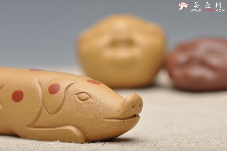 紫砂壶图片：小猪乐园o(∩_∩)o  - 美壶网