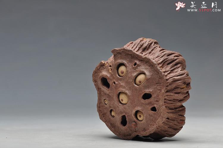 紫砂壶图片：《心心相莲》第三代作品——枯莲蓬茶宠 段泥 - 美壶网