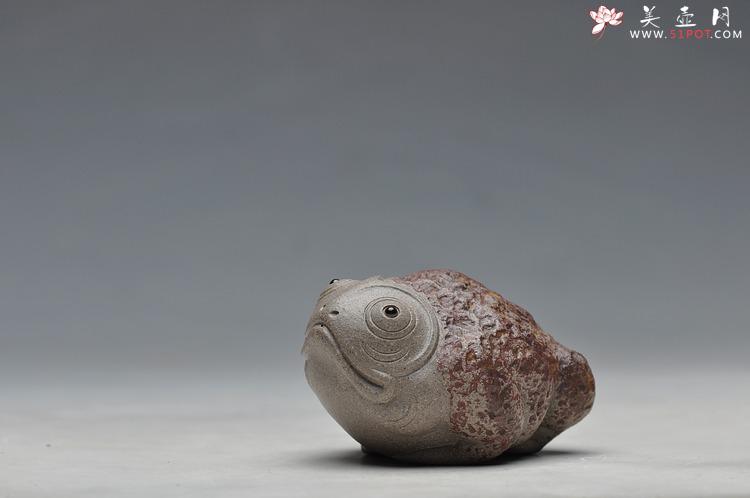 紫砂壶图片：憨态可掬 意趣之五彩金蟾 青灰段 - 美壶网
