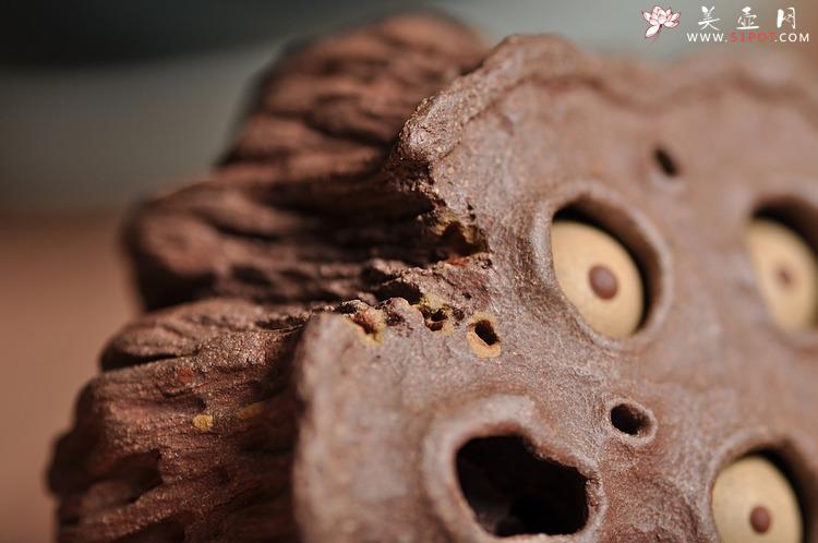 紫砂壶图片：《心心相莲》第三代作品——枯莲蓬茶宠 段泥 - 美壶网