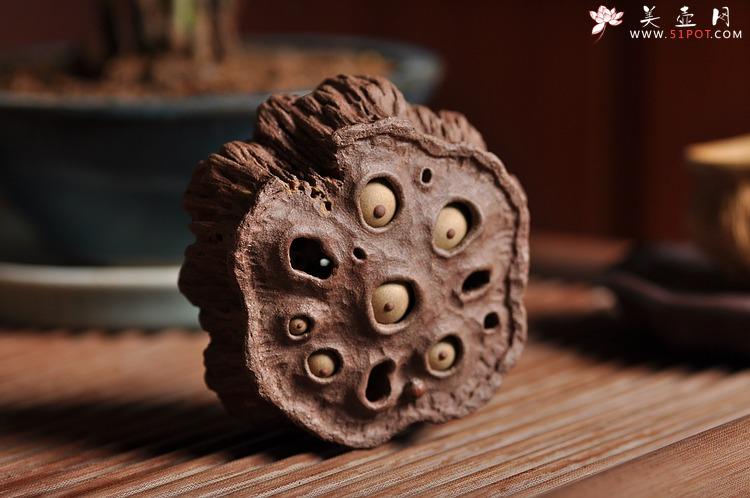 紫砂壶图片：《心心相莲》第三代作品——枯莲蓬茶宠 段泥 - 美壶网