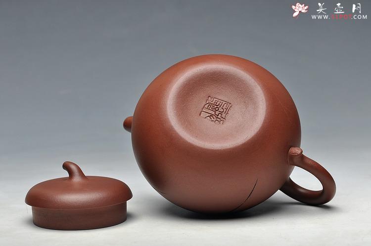 紫砂壶图片：清新可爱 香兰馥郁 茄段 一捺底 - 美壶网