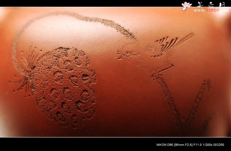 紫砂壶图片：莲蓬鸟之秋水 婉约风韵 亭亭玉立 - 美壶网