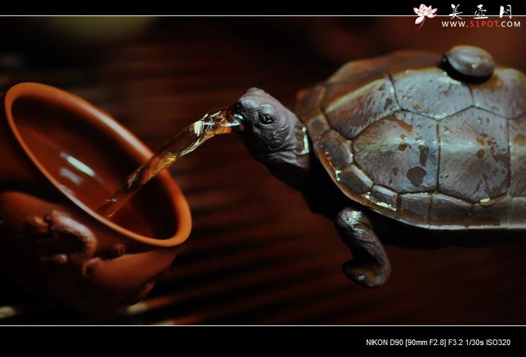 紫砂壶图片：‘名副其实’的龟寿茶  长寿哦o(∩_∩)o  - 美壶网