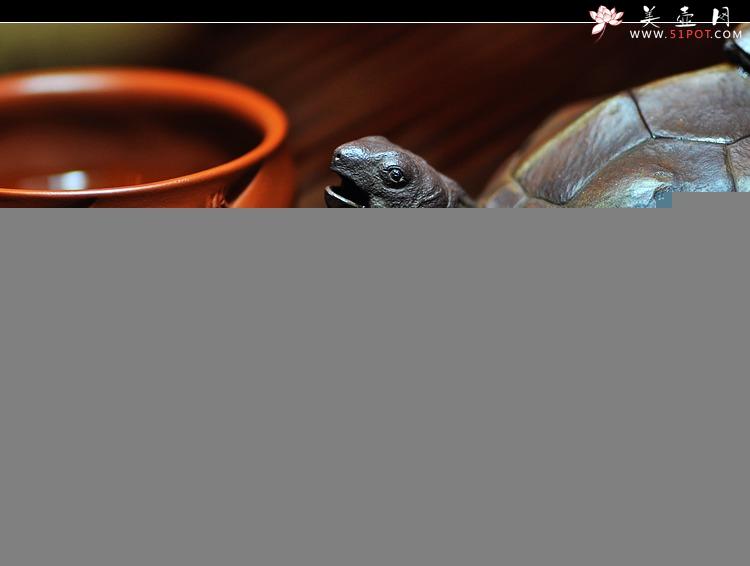 紫砂壶图片：‘名副其实’的龟寿茶  长寿哦o(∩_∩)o  - 美壶网