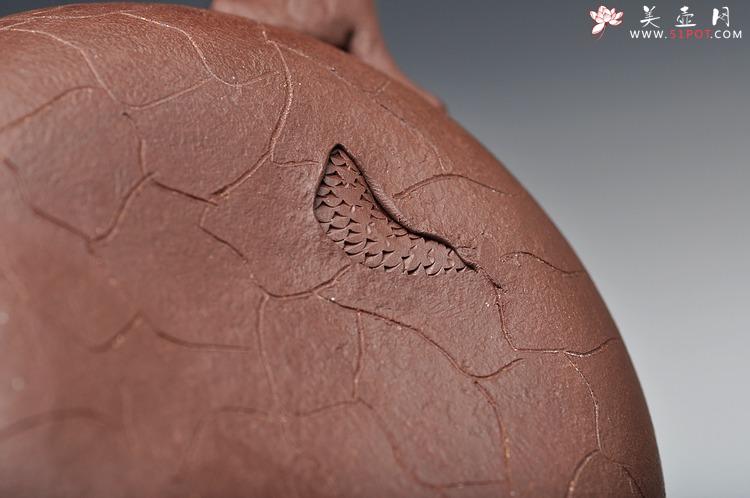 紫砂壶图片：藏龙龚春  双节特惠 送礼佳品 - 美壶网