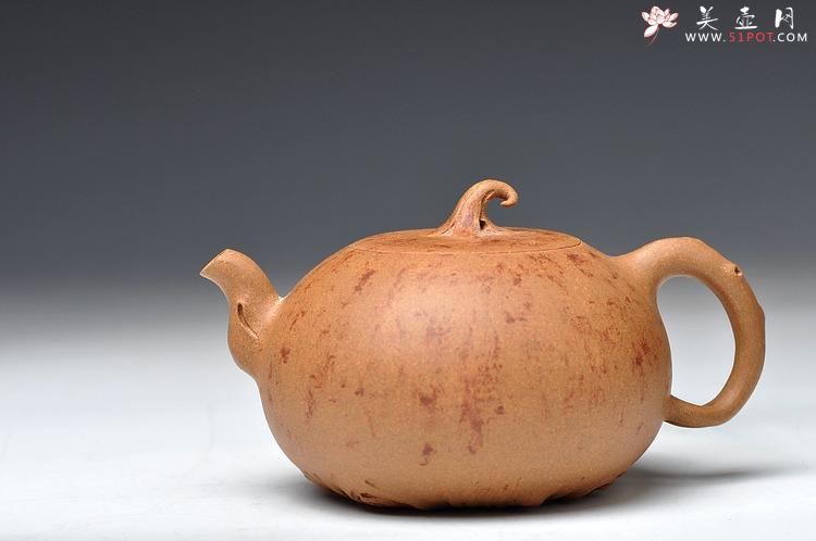 紫砂壶图片：蔡岩峰蜕变之作 新意心意 首创 全手野趣 - 美壶网