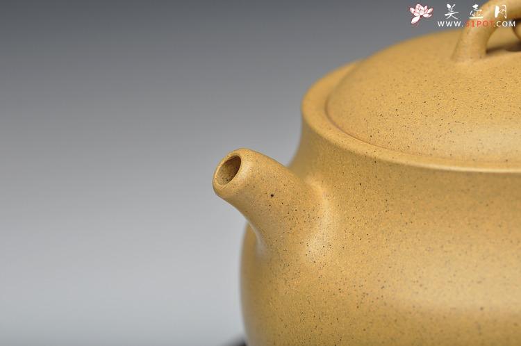 紫砂壶图片：造型新颖 敦厚可人 本山绿 全手禅钟 - 美壶网