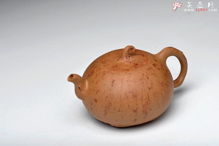 紫砂壶图片：蔡岩峰蜕变之作 新意心意 首创 全手野趣 - 美壶网