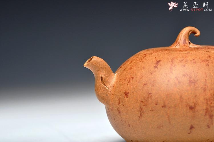 紫砂壶图片：蔡岩峰蜕变之作 新意心意 首创 全手野趣 - 美壶网