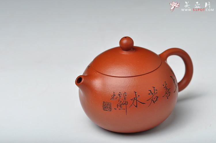 紫砂壶图片：静雅之品 秀气可爱 自品最佳 朱泥小西施 - 美壶网
