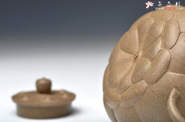 紫砂壶图片：精品之作 宝莲 - 美壶网