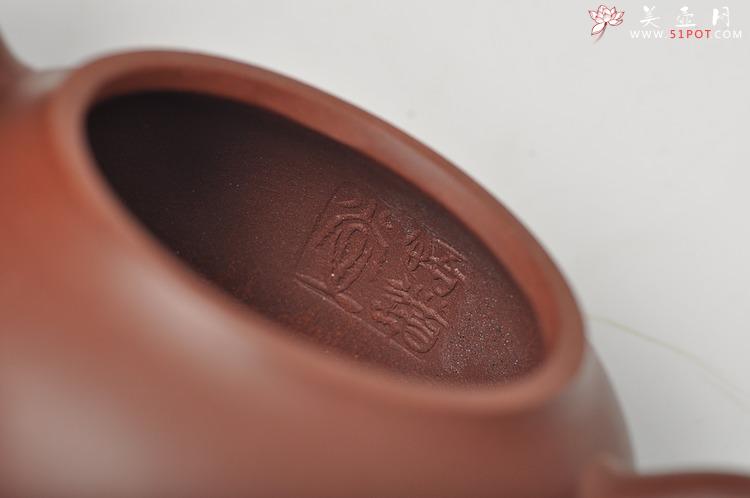 紫砂壶图片：实用耐品 全手小半月 适合绿茶 - 美壶网