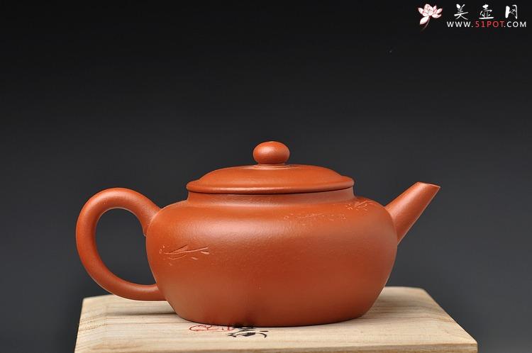 紫砂壶图片：文人壶 温文儒雅 铁观音利器 全手君玉 如鱼得水 - 美壶网