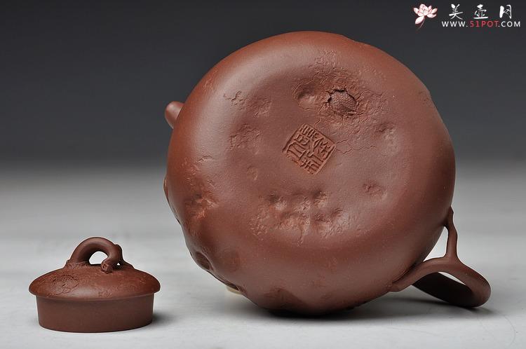 紫砂壶图片：孙金立 全手龙行龚春 精品代表作 丛林系列 - 美壶网