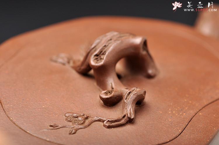 紫砂壶图片：花器实力派  老辣劲道 铮铮铁骨 精品全手梅桩 - 美壶网