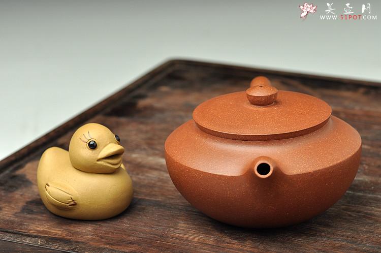 紫砂壶图片：曲峰经典作品 实用精工 降坡泥汉扁 线条流畅 - 美壶网