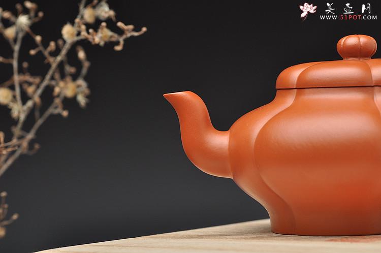 紫砂壶图片：酒虎最新作品 六瓣梅 黄金朱泥 精妙如花 - 美壶网