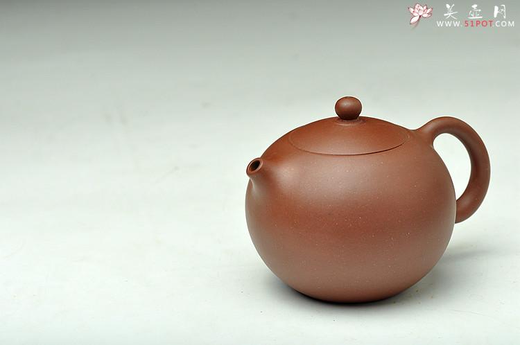 紫砂壶图片：天天特惠俏西施  带给你的家人和朋友 - 美壶网